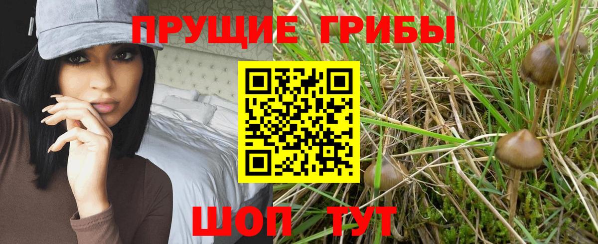 Кропоткин  Галлюциногенные грибы GOLDEN TEACHER  Галлюциногенные грибы Magic Shrooms  Вход с VPN 