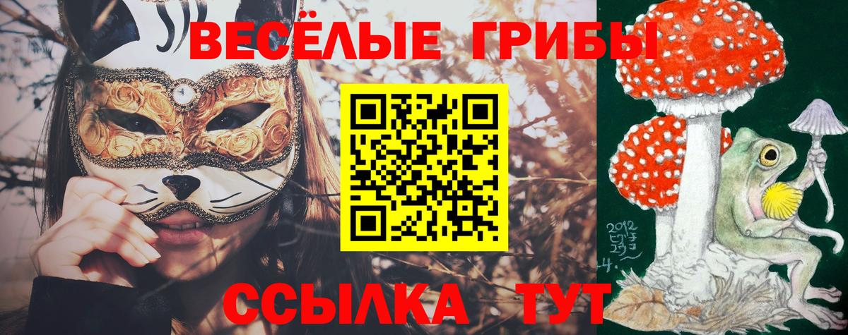Галлюциногенные грибы MAGIC MUSHROOMS Кропоткин